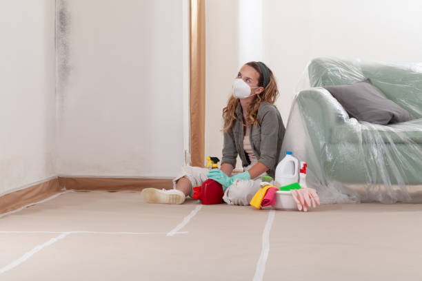 Reliable Mold Testing contractor in Oakhurst, NJ by WQB Mold Removal
